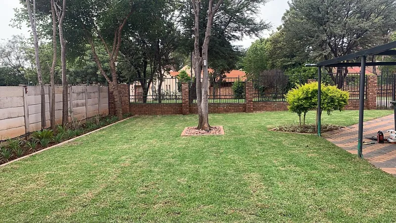 Ditch the Grass Without Losing the Curb Appeal: A Homeowner's Guide to Converting Your Lawn