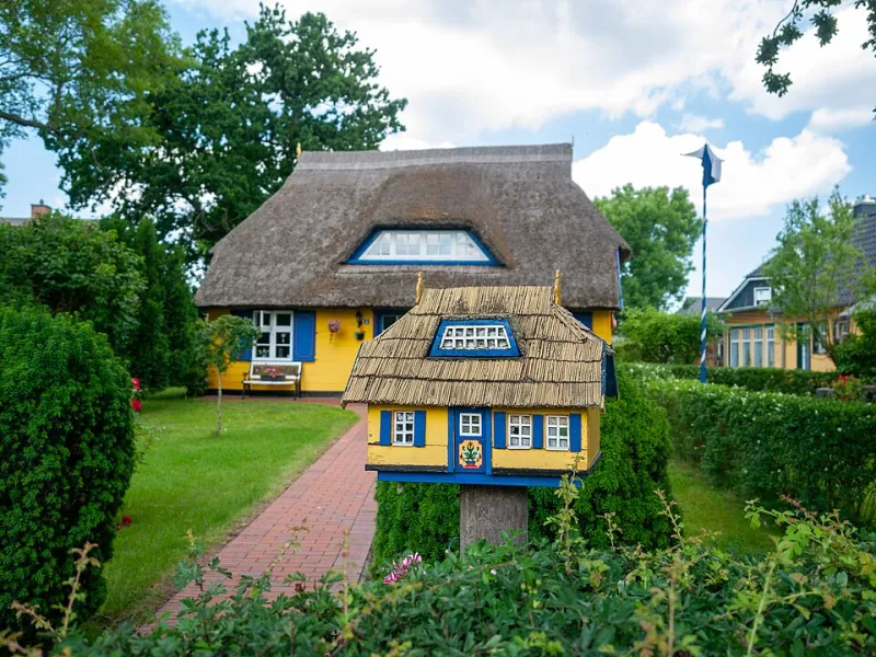 Permission to Be Weird: Ditching the Copycat Yard for a Garden Worth Staring At